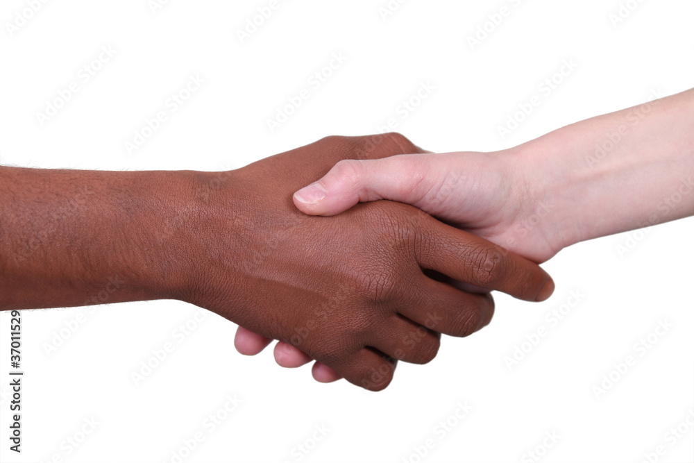 Metis person and white person shaking hands