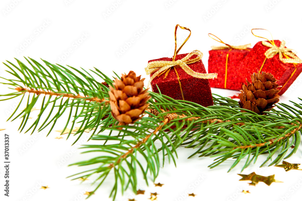 Tannenzweig Weihnachten Dekoration StockFoto Adobe Stock