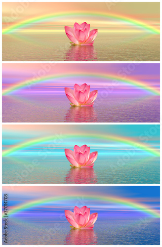 Fototapeta Naklejka Na Ścianę i Meble -  Lily flowers under rainbow