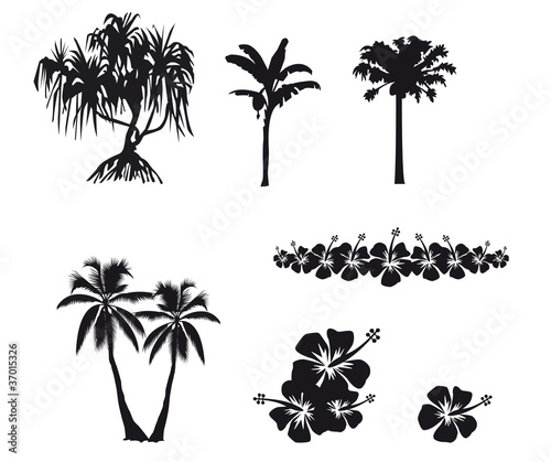 arbres tropicaux et hibiscus en ombre chinoise
