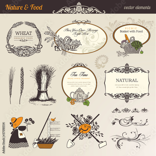 Nature & food vector elements
