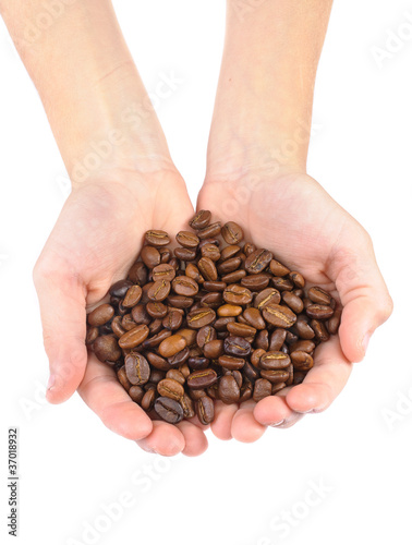 Coffee beans in children's hands