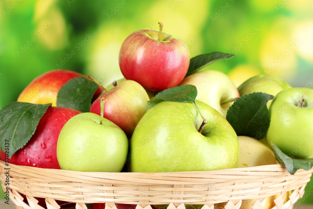 Fresh organic apples in basket on wooden table outside Fresh organic apples in basket on wooden table outside