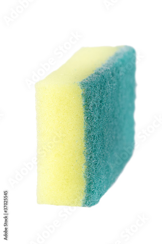 Dish washing sponge isolated