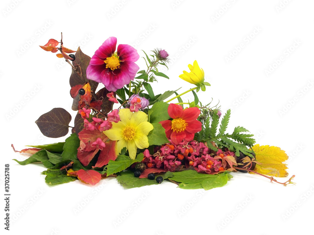 Obraz premium autumn still life