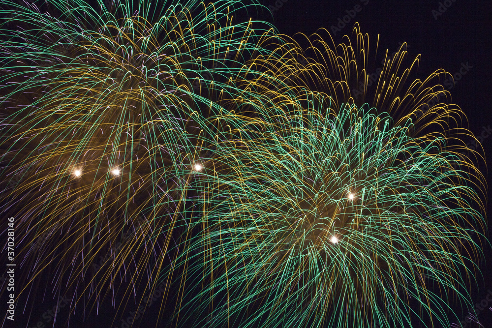 Fototapeta premium Fireworks