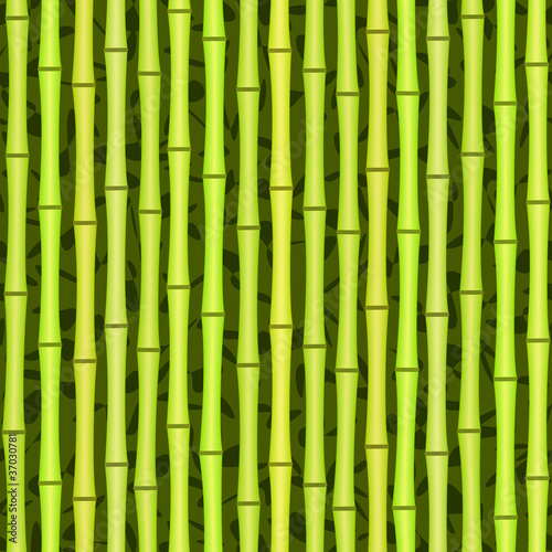 seamless green bamboo texture