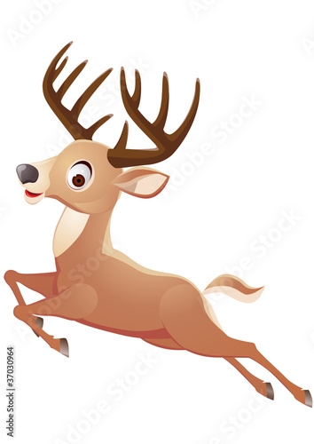 Deer running