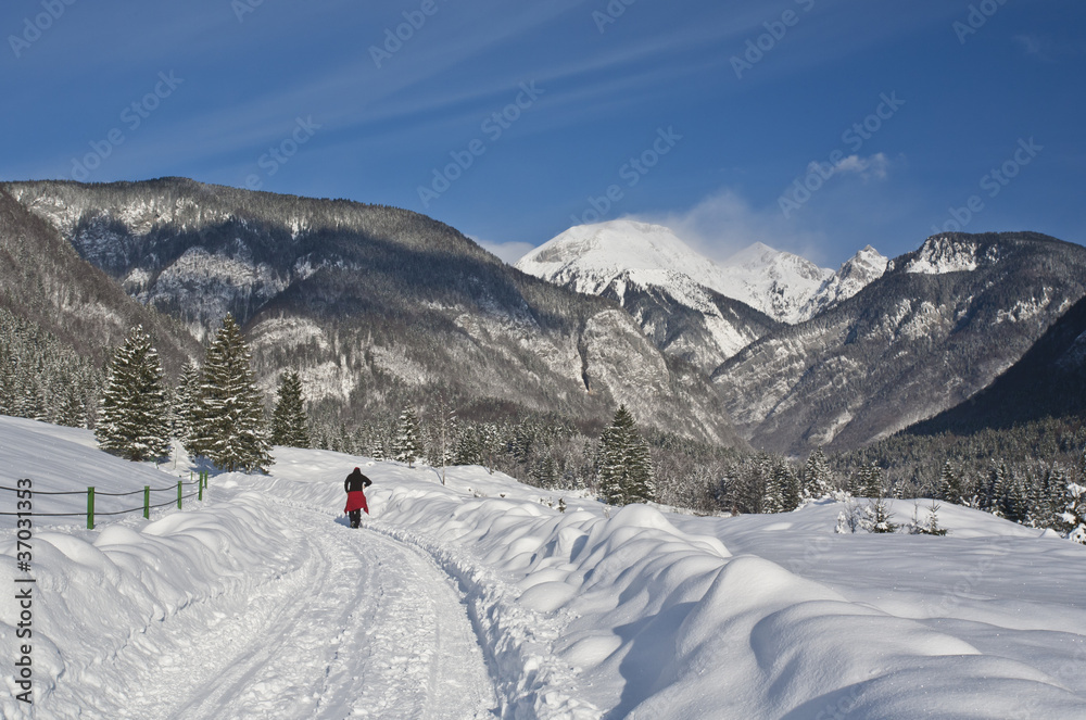 woman hiking in winter woman hiking in winter