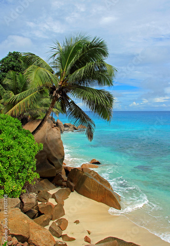 plage sauvage des côtes seychelloise photo