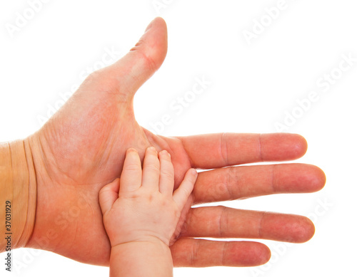 Comparision of adult and infant hands photo