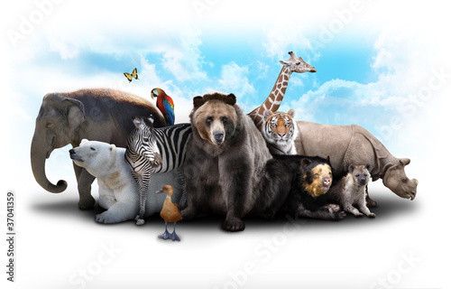 Zoo Animal Friends © HaywireMedia