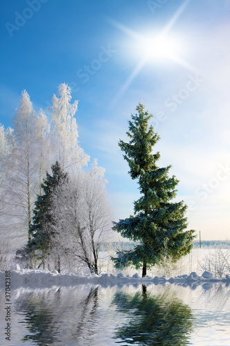 Winter landscape © elen_studio