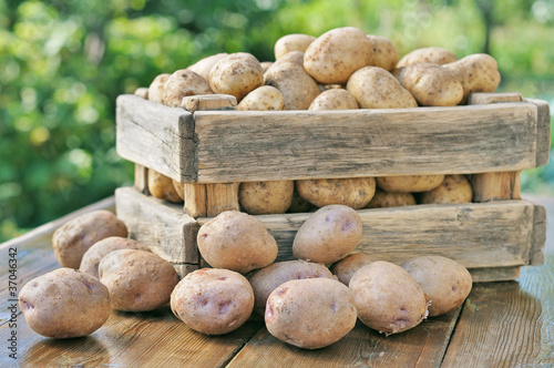 Potatoes in a box.