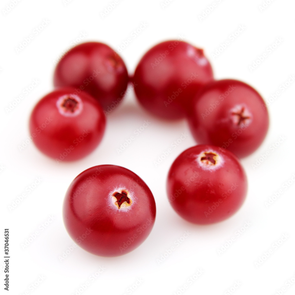 Sweet cranberry in closeup