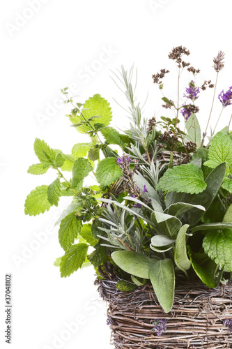 Herbs in a Basket