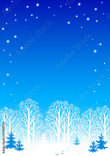 Winter night background
