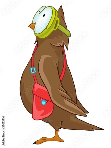 Cartoon Character Funny Owl