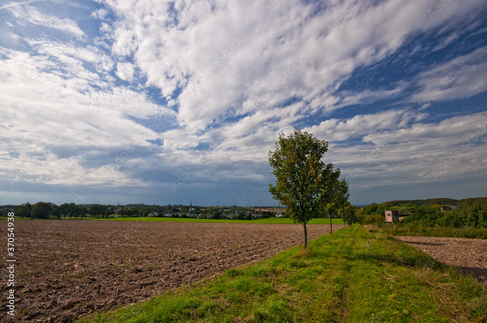 Landschaft im Sauerland