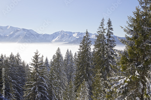 winterlandschaft in oberbayern - miesbach