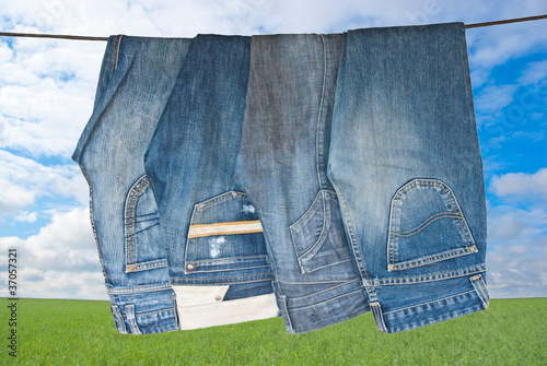 Some blue jeans drying on washline photo