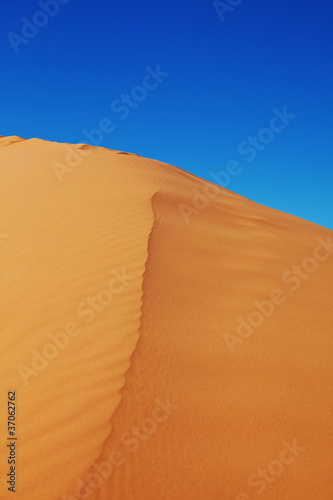 Dune