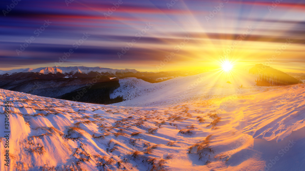 Fototapeta premium winter