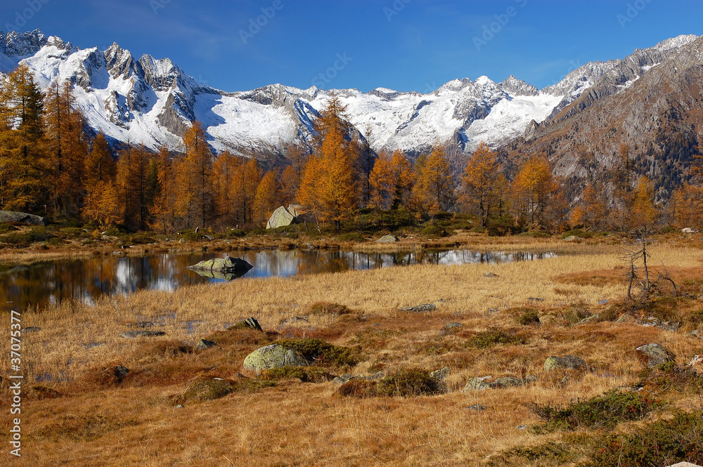 Cime e larici d'autunno in Val di Genova, Trentino