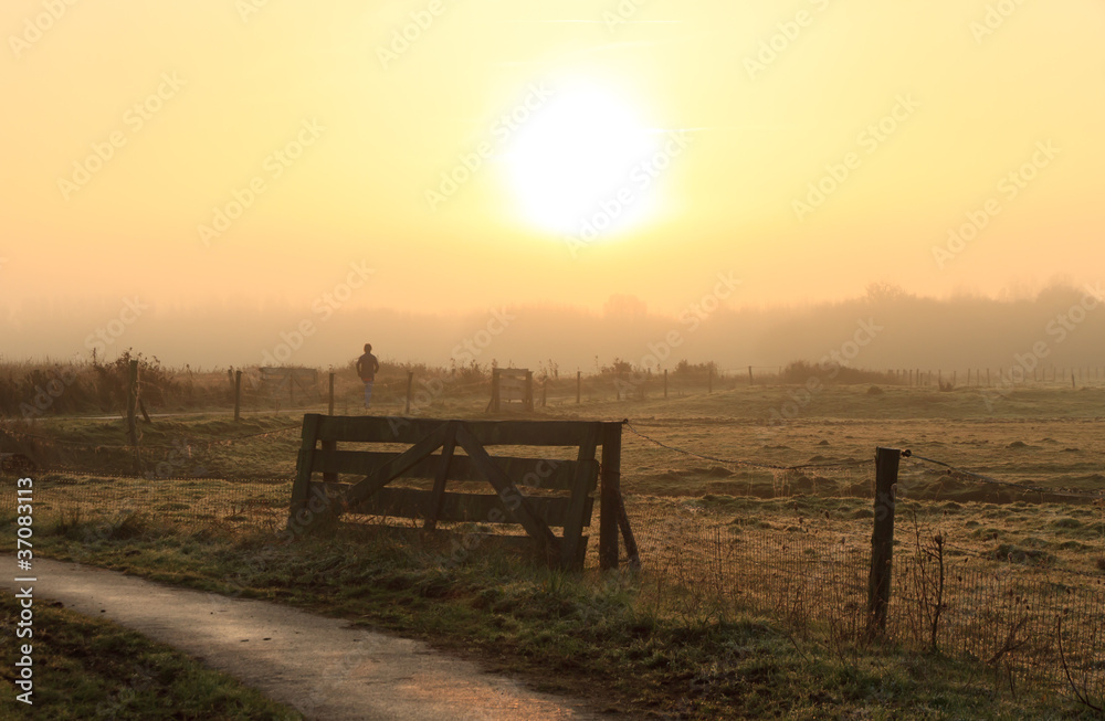 Fototapeta premium Countryside