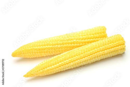 young corn