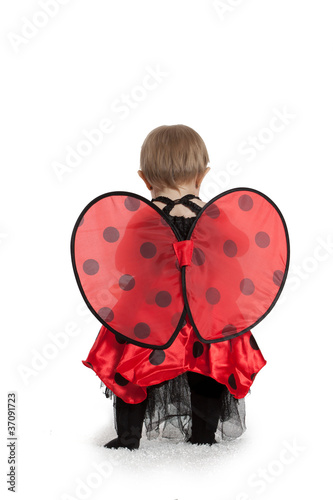 Baby Girl Ladybug Wings