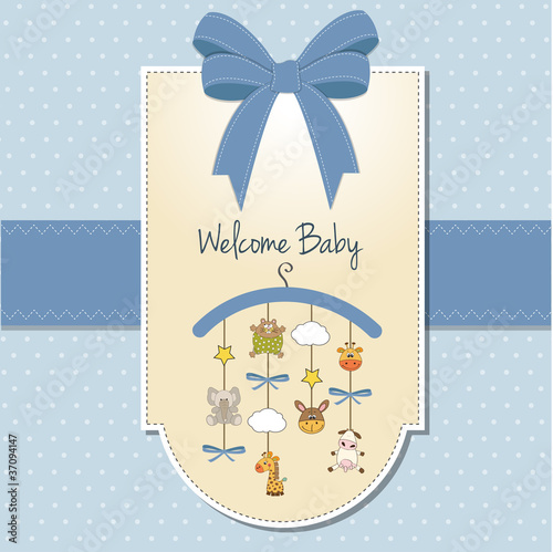 delicate baby boy shower card