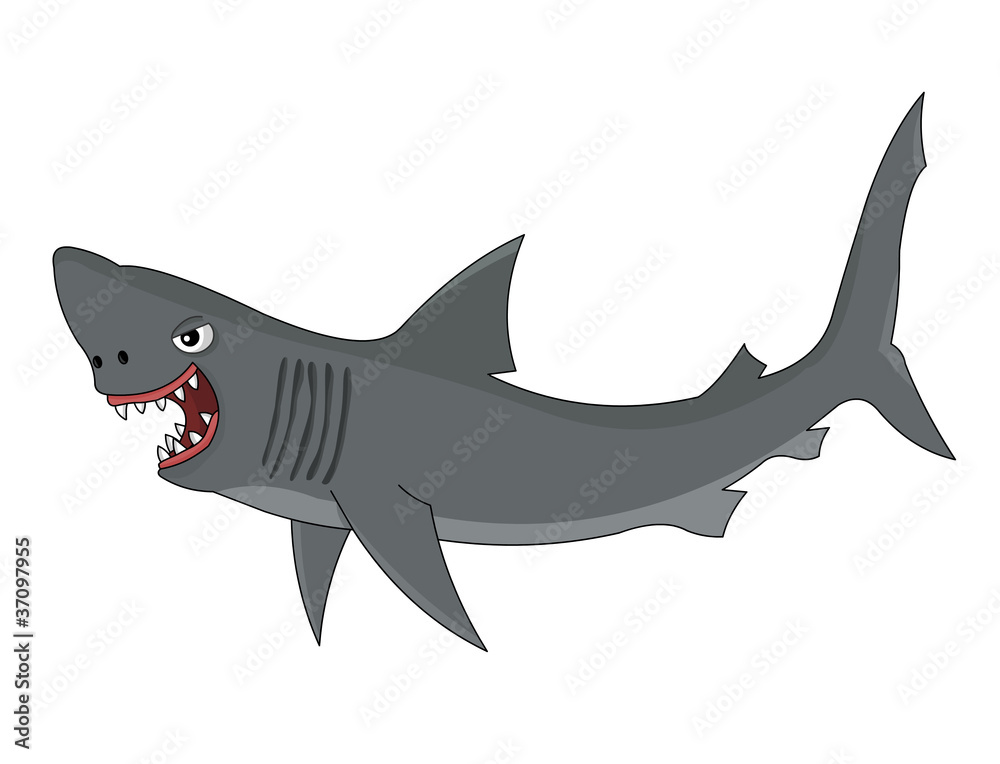 Fototapeta premium shark