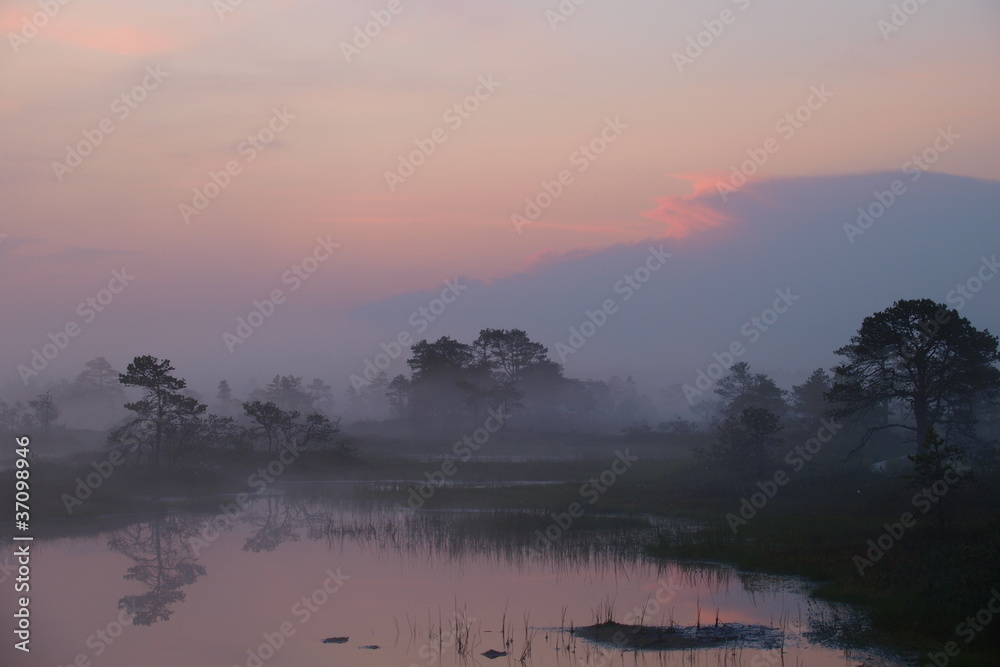 Fototapeta premium Landscape of Kakerdaja Bog, sunrise