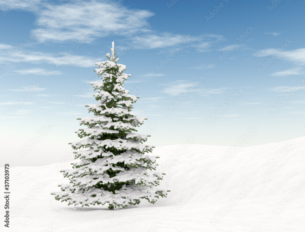 Christmas tree and blue sky