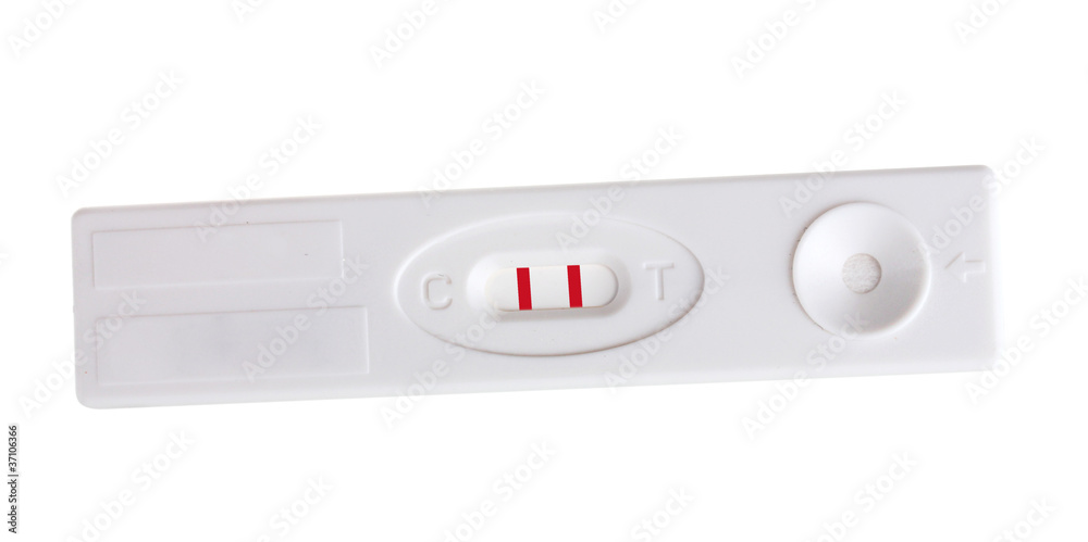 pregnancy test isolated on white pregnancy test isolated on white