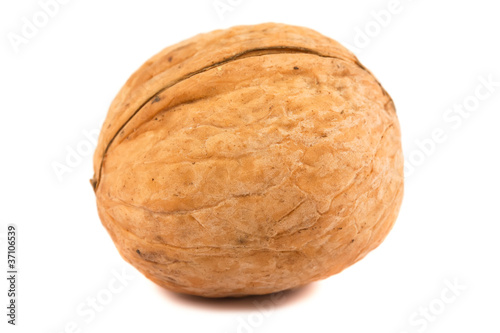 single walnut on a white background