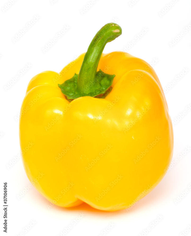 yellow pepper paprika on white background isolated yellow pepper paprika on white background isolated