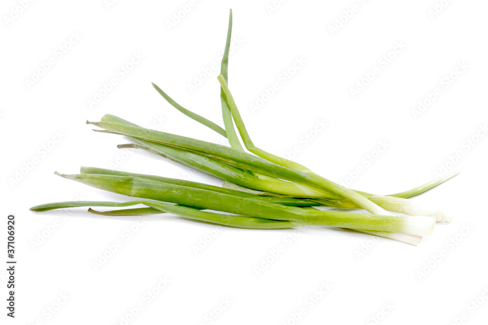 Green Onion on white background Green Onion on white background