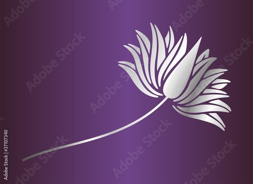 Fototapeta Naklejka Na Ścianę i Meble -  water lily, India