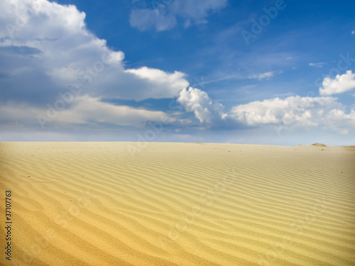 Sand Dunes Landscape