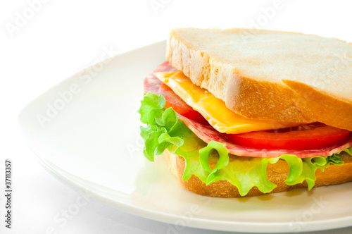 tasty juicy sandwich