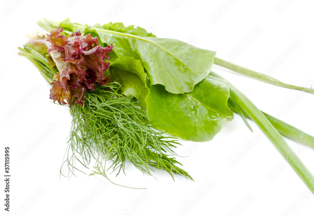 Fototapeta premium Salad leaves, onion and dill