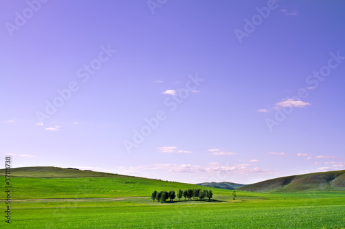 Farm grass plain under blue sky