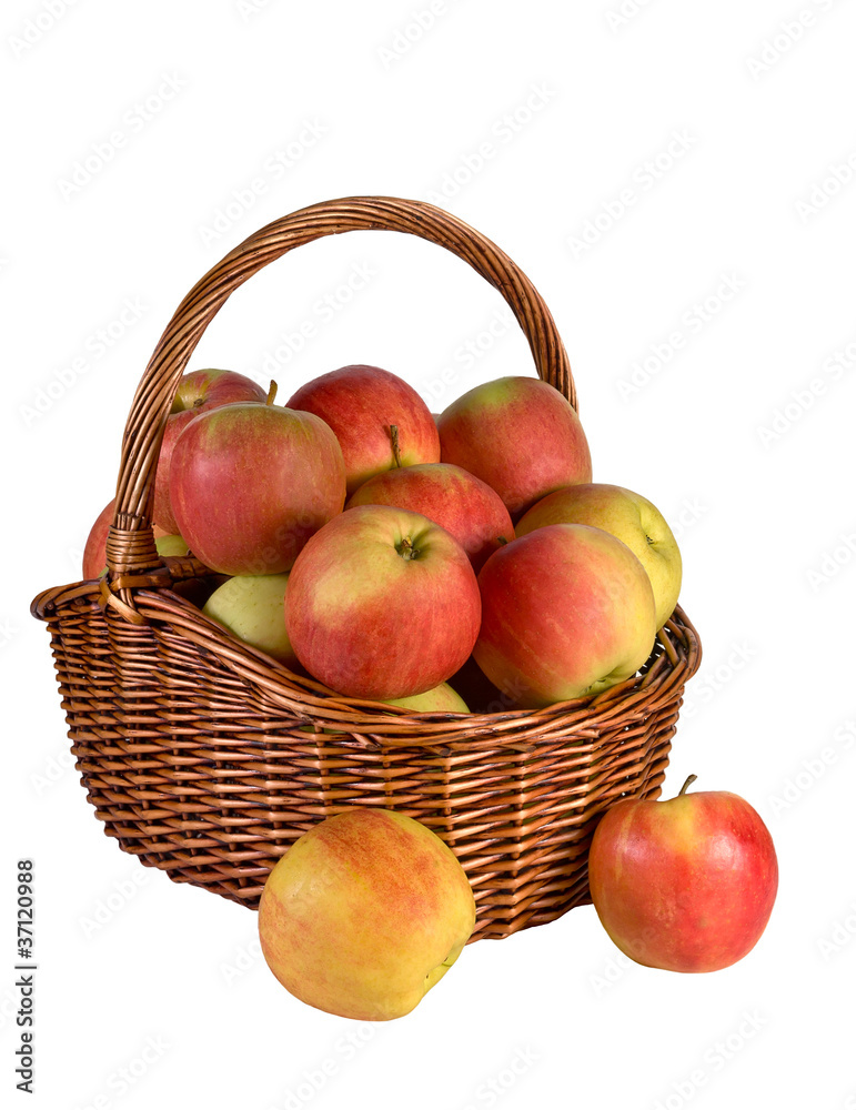 Apples in the basket Apples in the basket