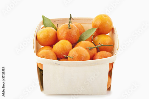 Mandarinen (Citrus retulata)