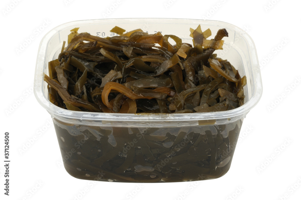 kelp salad in a plastic pot kelp salad in a plastic pot