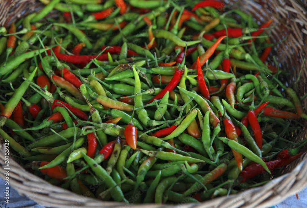 thai peppers thai peppers