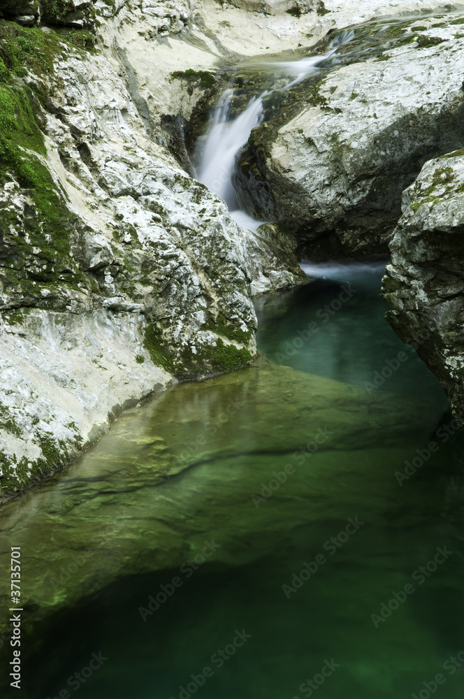 Fototapeta premium Mountain stream in early summer