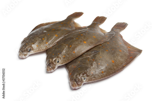 Fotomurale Fresh raw plaice fishes